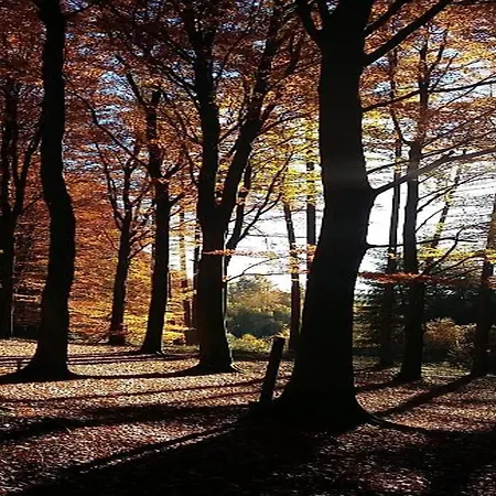 Шале Charming In Vielsalm