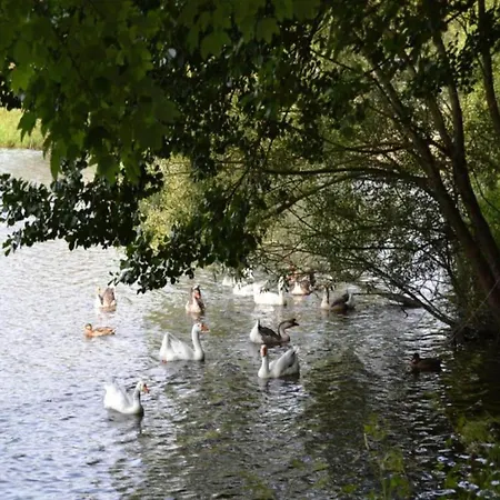 Charming In Vielsalm בקתה Ennal