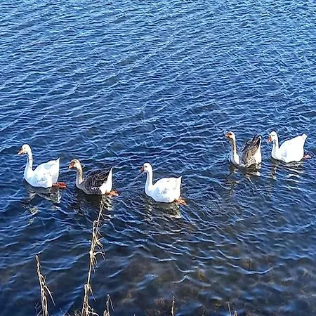 בקתה Charming In Vielsalm Ennal