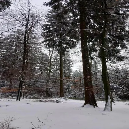 Attractive In Vielsalm With Large Garden *
