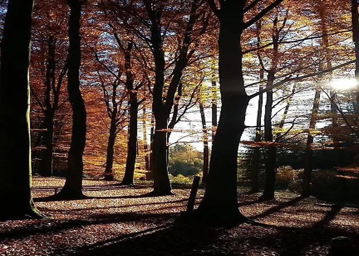 Dağ evi Charming In Vielsalm