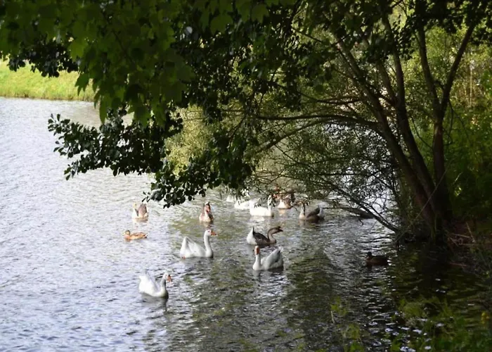 Charming In Vielsalm Dağ evi Ennal