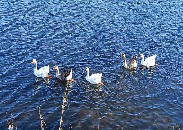Dağ evi Charming In Vielsalm Ennal