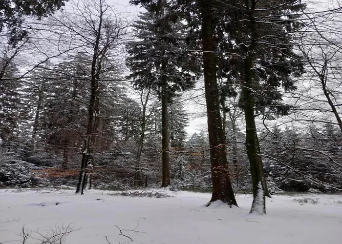 Charming In Vielsalm *